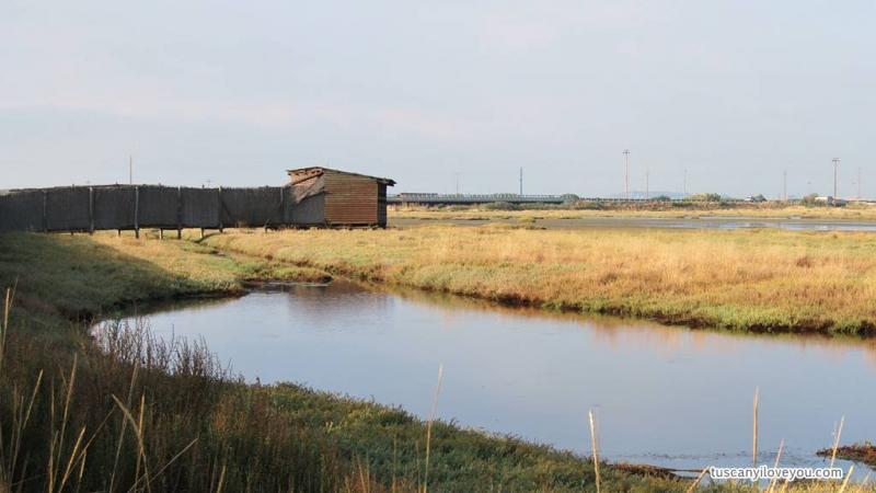 Oasi WWF Orti Bottagone