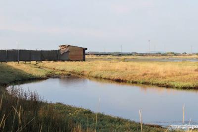 Oasi WWF Orti Bottagone