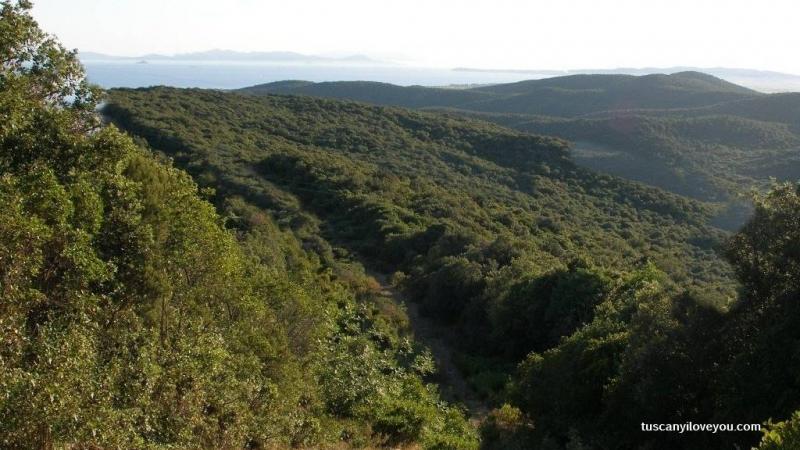 Parco Naturale di Montioni