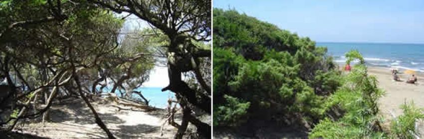 Parco Naturale di Rimigliano