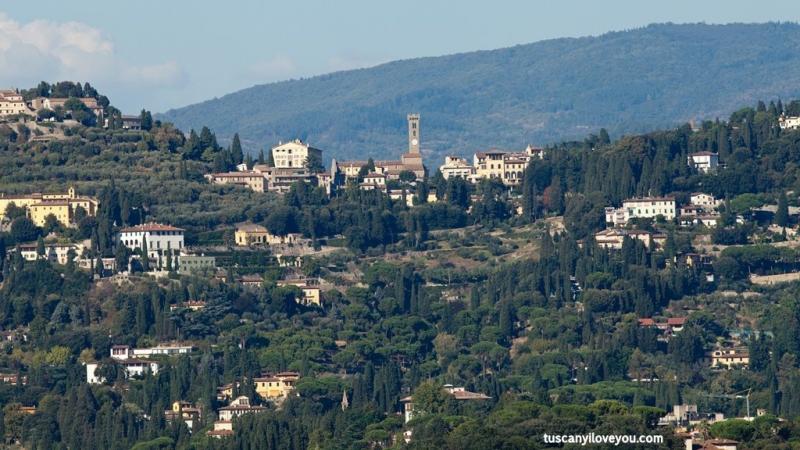 Colline Fiorentine