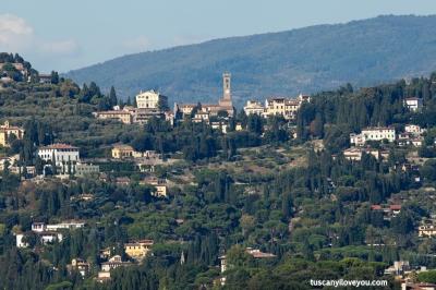 Colline Fiorentine