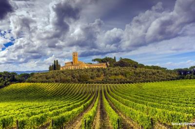 Colline del Chianti