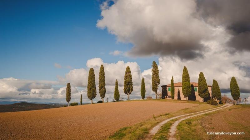 Colline Senesi